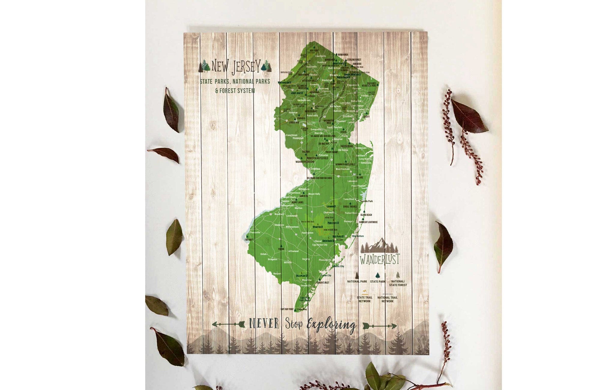 New Jersey State Park Map, Canvas Push Pin Map, Pins Included Map World Vibe Studio 12X16