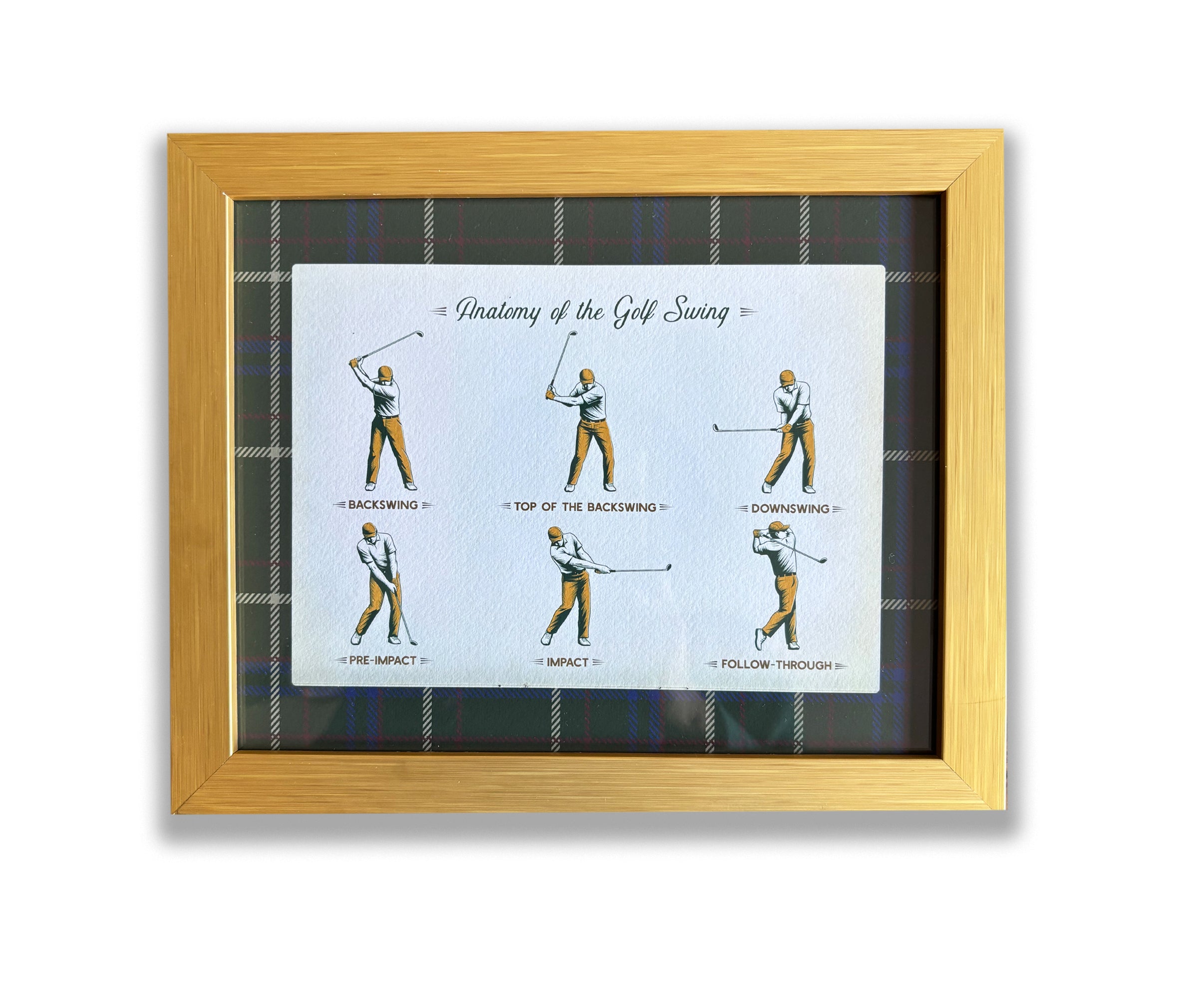Anatomy of the Golf Swing, Vintage Print with Tartan Border