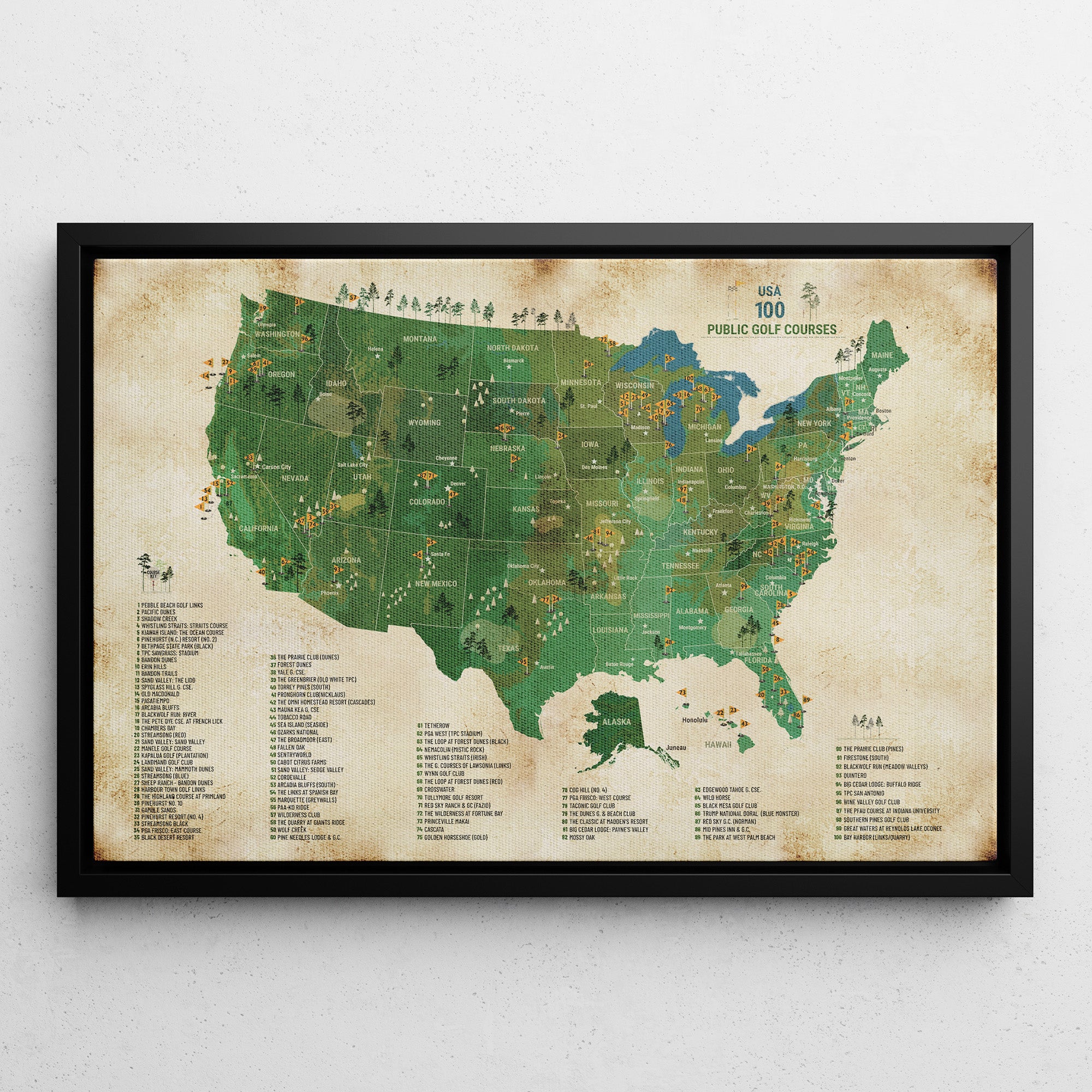 Personalized Top 100 Public Golf Course Map USA | Push Pin Canvas