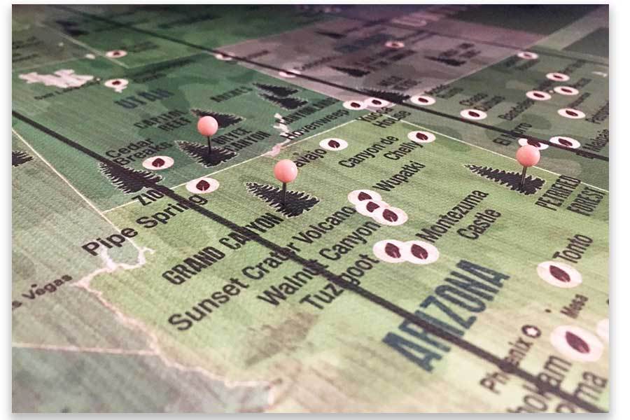 Forest System Map and US National Parks, Push Pin Canvas Board Map World Vibe Studio