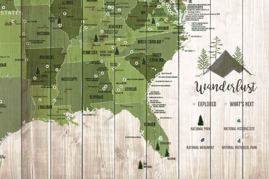 Forest System Map and US National Parks, Push Pin Canvas Board Map World Vibe Studio