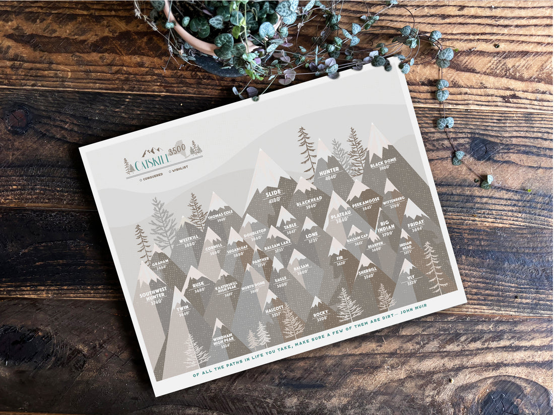 Catskills Hiking Decor Print, Catskill Mountain, Push Pin Board Map World Vibe Studio 12X16 Beige Gray , Catskill 3500
