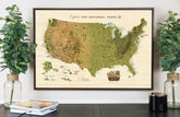 National Park Map, Includes National Monuments and Trails, Push Pin, Earthy CANVAS Map Map World Vibe Studio 18X24 FRAMED 