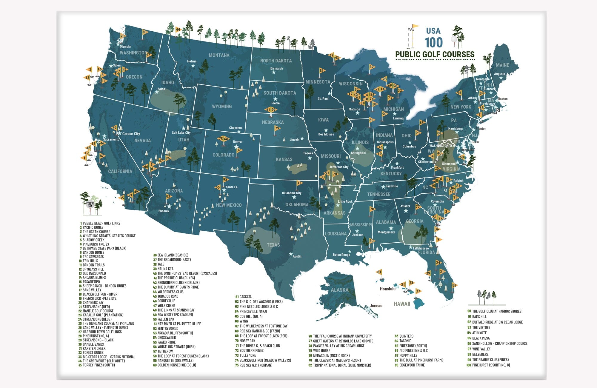 100 PUBLIC Golf Course, Poster, Push Pin Option, PUBLIC, FRAMED Map OrderDesk 11X14 Navy 