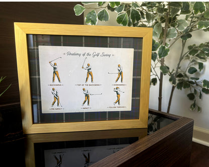Anatomy of the Golf Swing, Vintage Print with Tartan Border