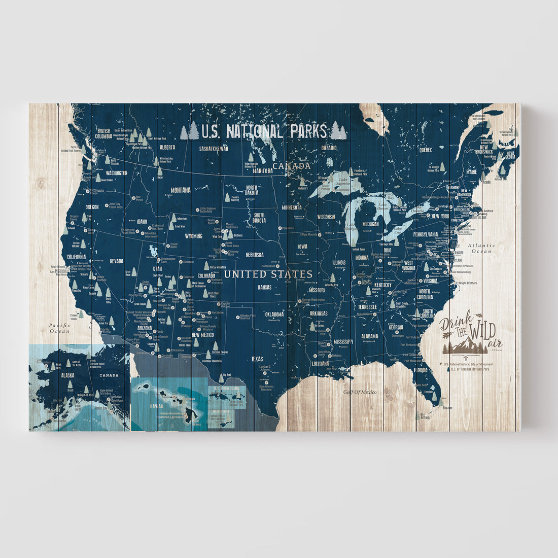 National Parks Map, Push Pin Board Map World Vibe Studio, 63 National parks