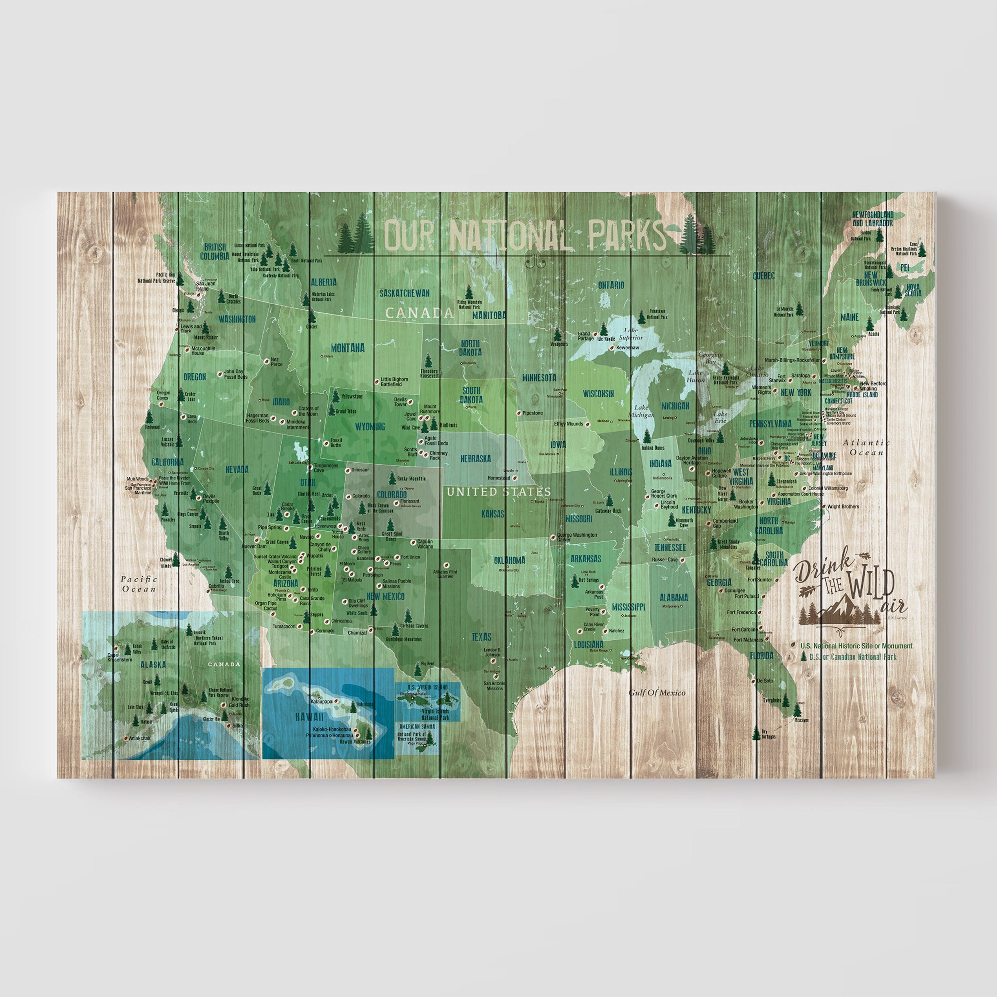 National Parks Map, Map of USA, Push Pin Board CANVAS Map World Vibe Studio 