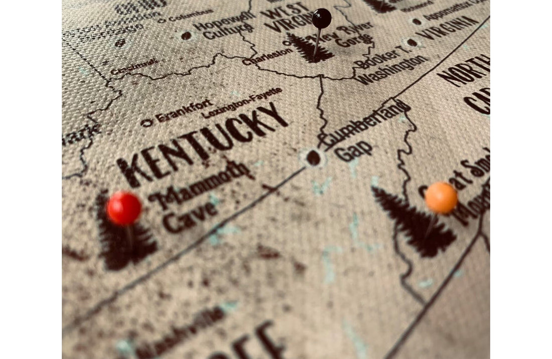 National Park Map, Rustic Map of 63 National Parks of USA, Framed Push Pin CANVAS Map World Vibe Studio 16X24 Unframed 