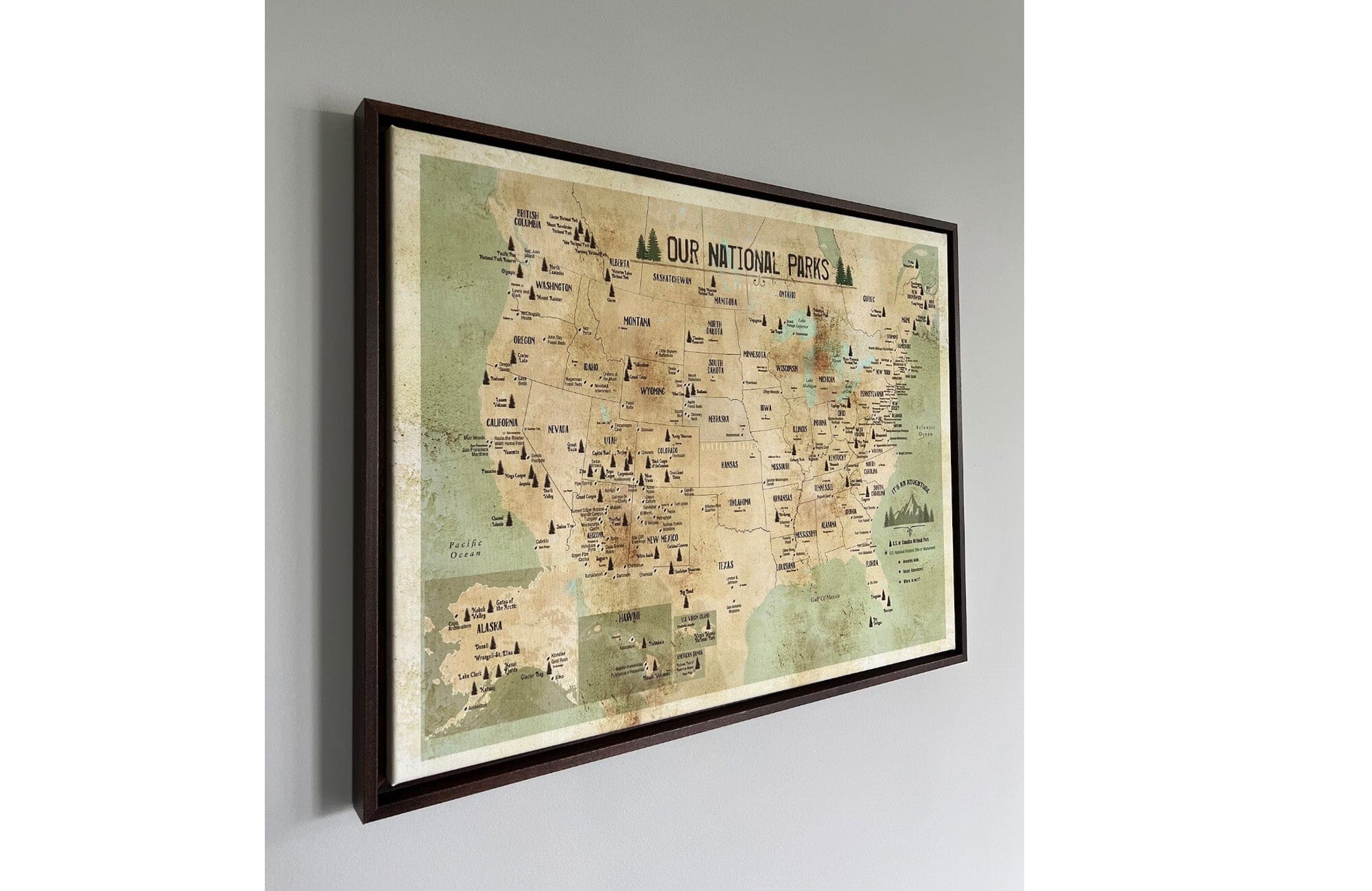 National Park Map, Rustic Map of 63 National Parks of USA, Framed Push Pin CANVAS Map World Vibe Studio 