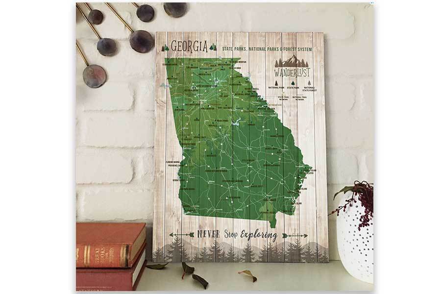 Georgia State, State Park Map, Canvas, Ready to Hang Map World Vibe Studio 