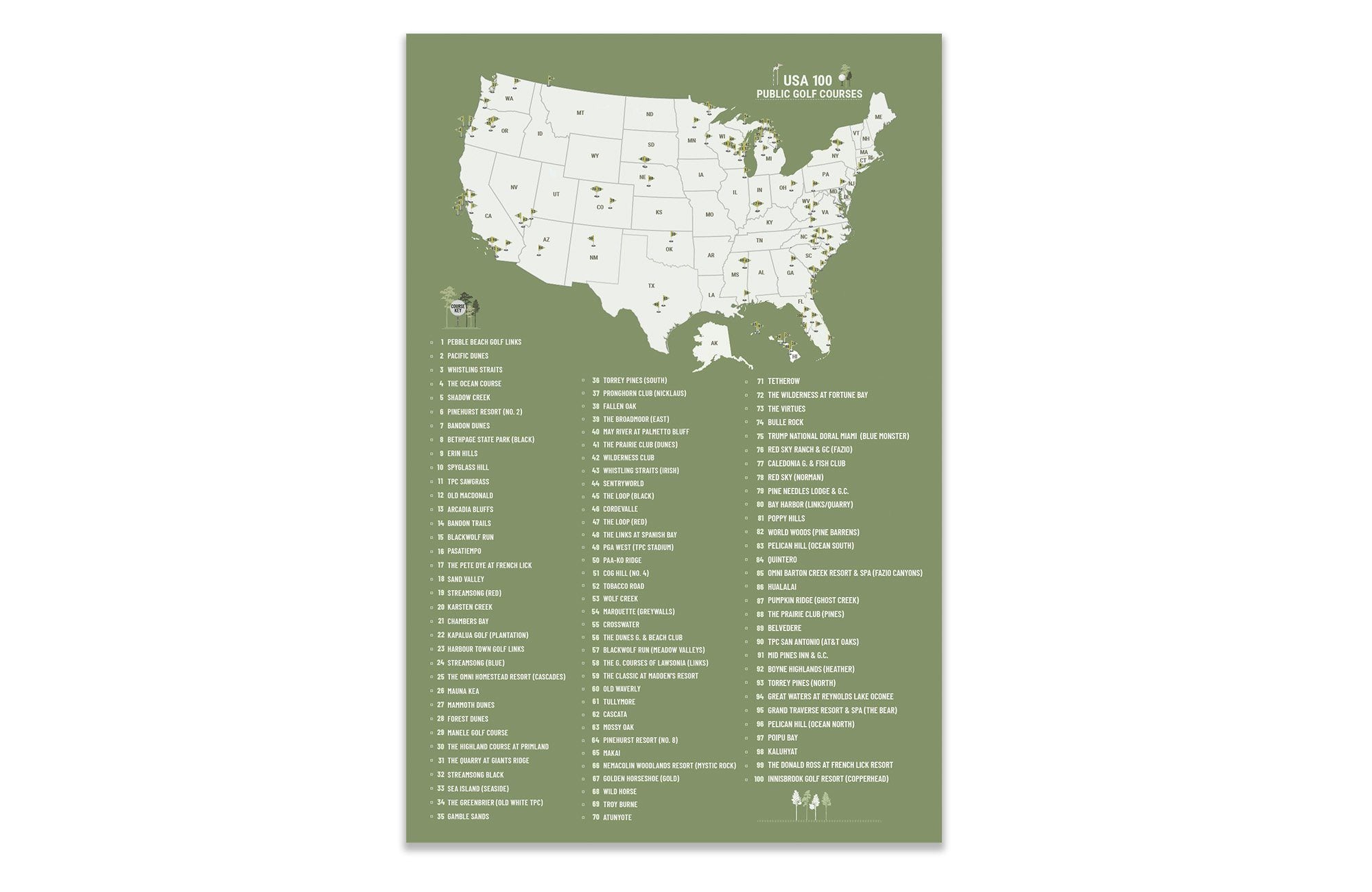 Top 100 PUBLIC Golf Courses Poster, Push Pin Option, FRAMED Option Map World Vibe Studio 12X18 Sage 