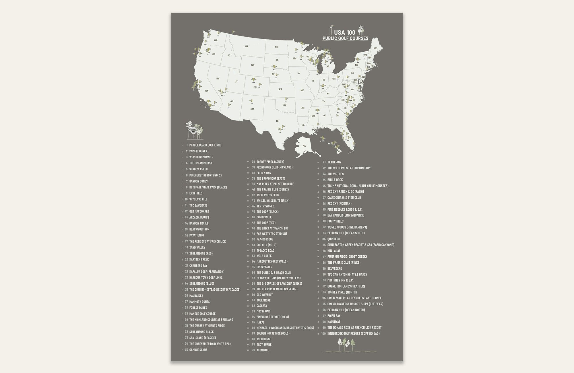 Top 100 PUBLIC Golf Courses Poster, Push Pin Option, FRAMED Option Map World Vibe Studio 12X18 Taupe 