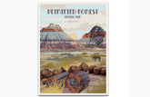 Petrified Forest National Park, Arizona, National Park Posters, Unframed Map World Vibe Studio 8X10 
