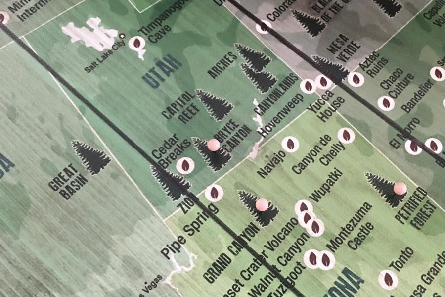 State High Points Map, Foam Mounted, Push Pin Board Map World Vibe Studio 