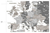 Push Pin Canvas Map, Neutral, Many Sizes Map World Vibe Studio 